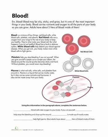 White Blood Cells