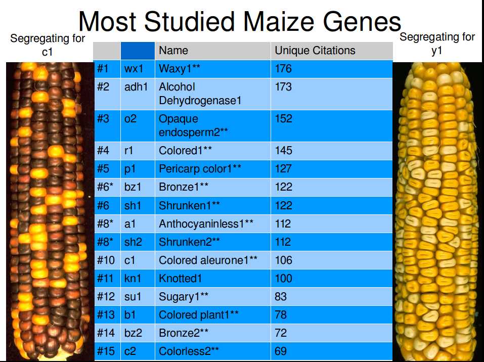 Implications for Plant Breeding