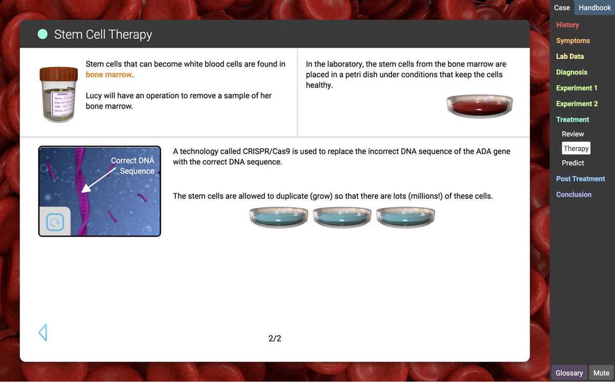 Exploring the answers with the Convection Cells Gizmo