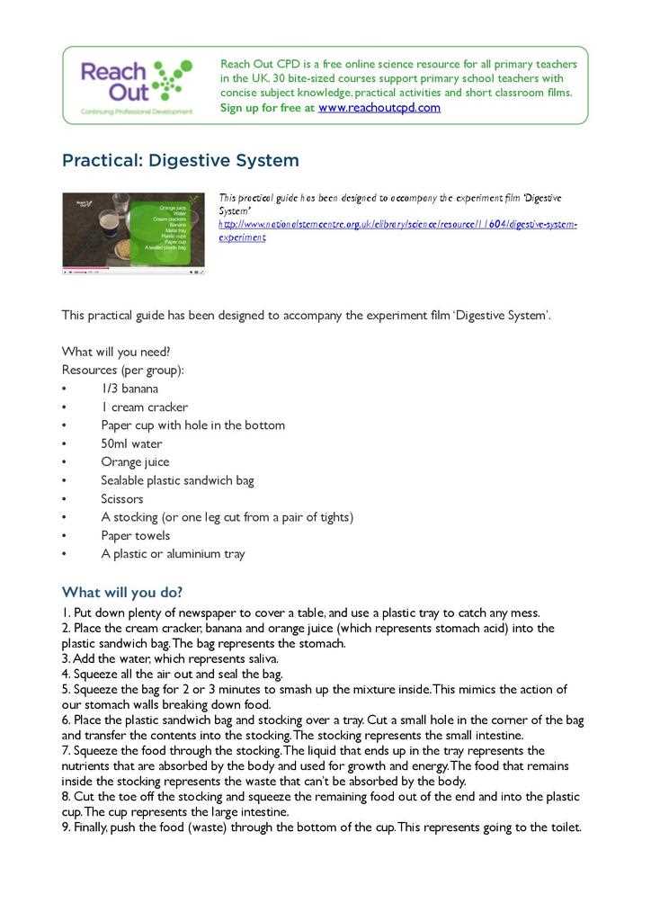 Digestive system tour lab answer key