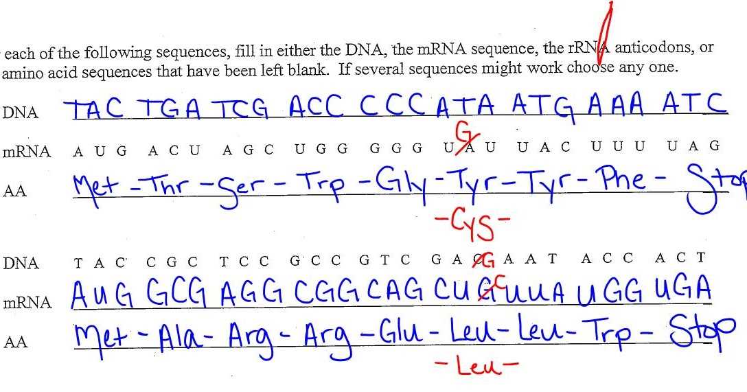 Sample PCR Worksheet: