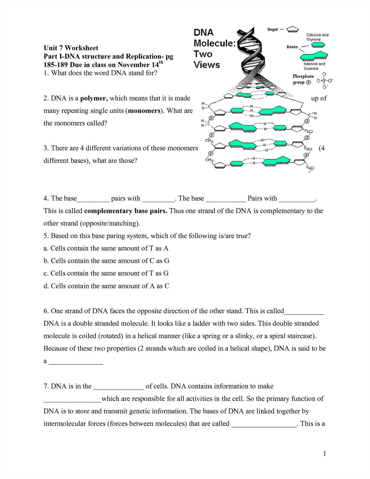 What is a DNA Structure Paper Model Lab?