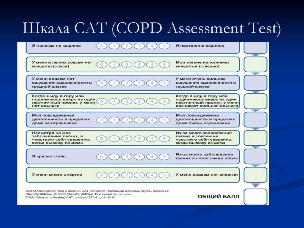 Key Areas Tested