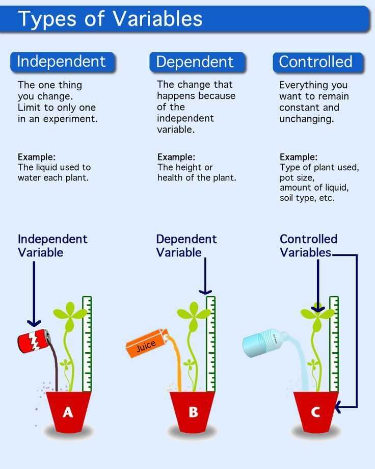 4. Limitations and further research