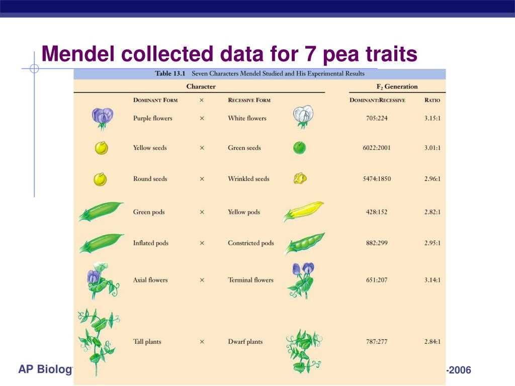 Ap biology 029 mendelian genetics answer key