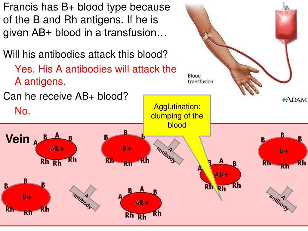 Echelon blood transfusion post test answers