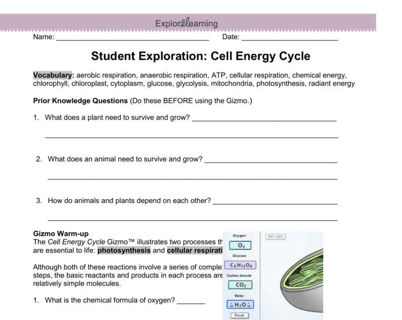 Exploring the Gizmo Answer Key