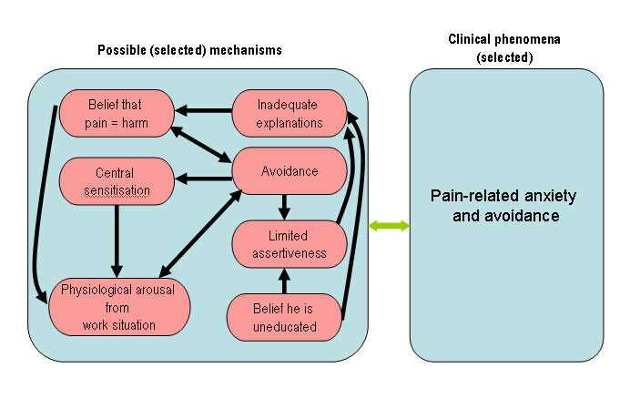 The Symptoms and Diagnosis