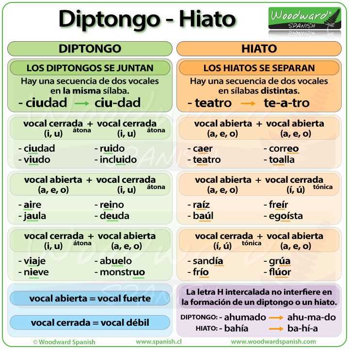 Examen de manejo de minnesota en espanol