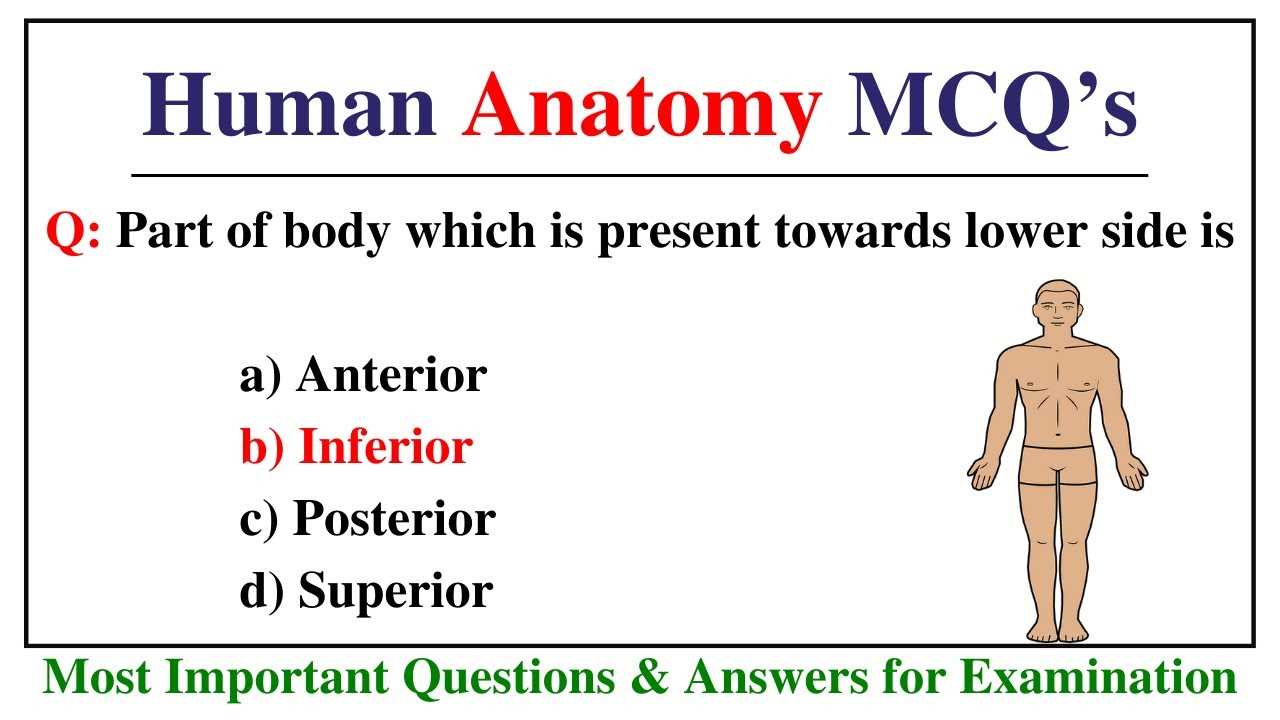 Understanding Human Body Systems for the Exam