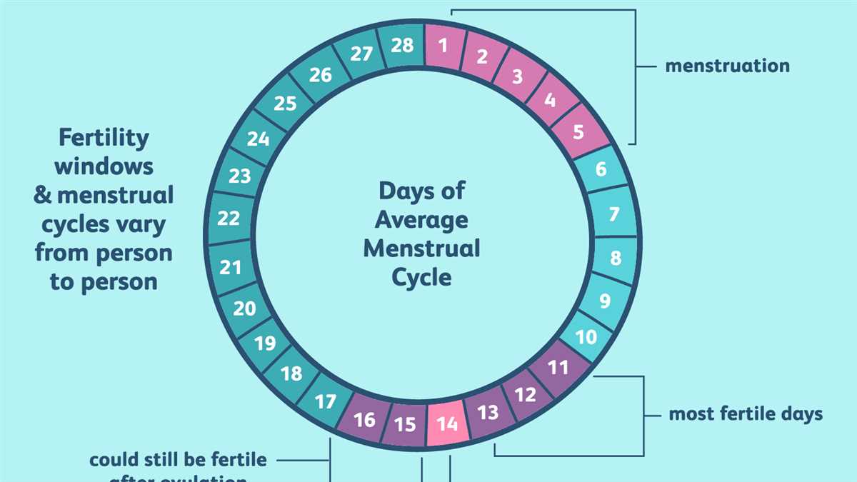 5. Analyze and interpret the data