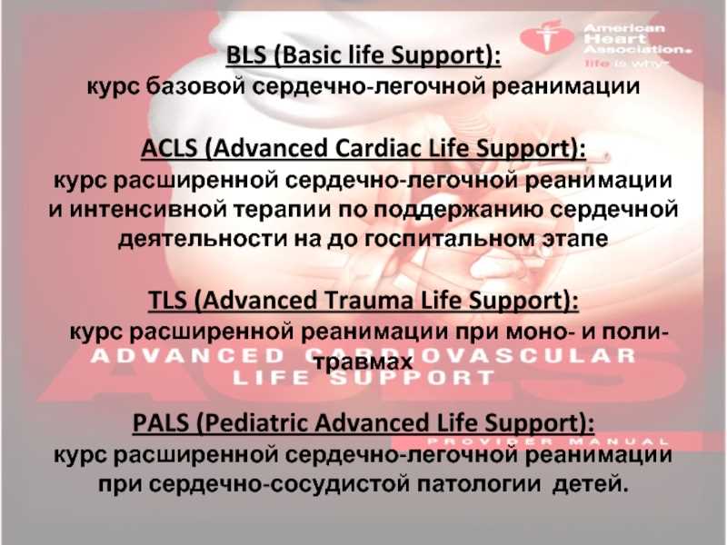 Basic life support exam b answers 25 questions 2025
