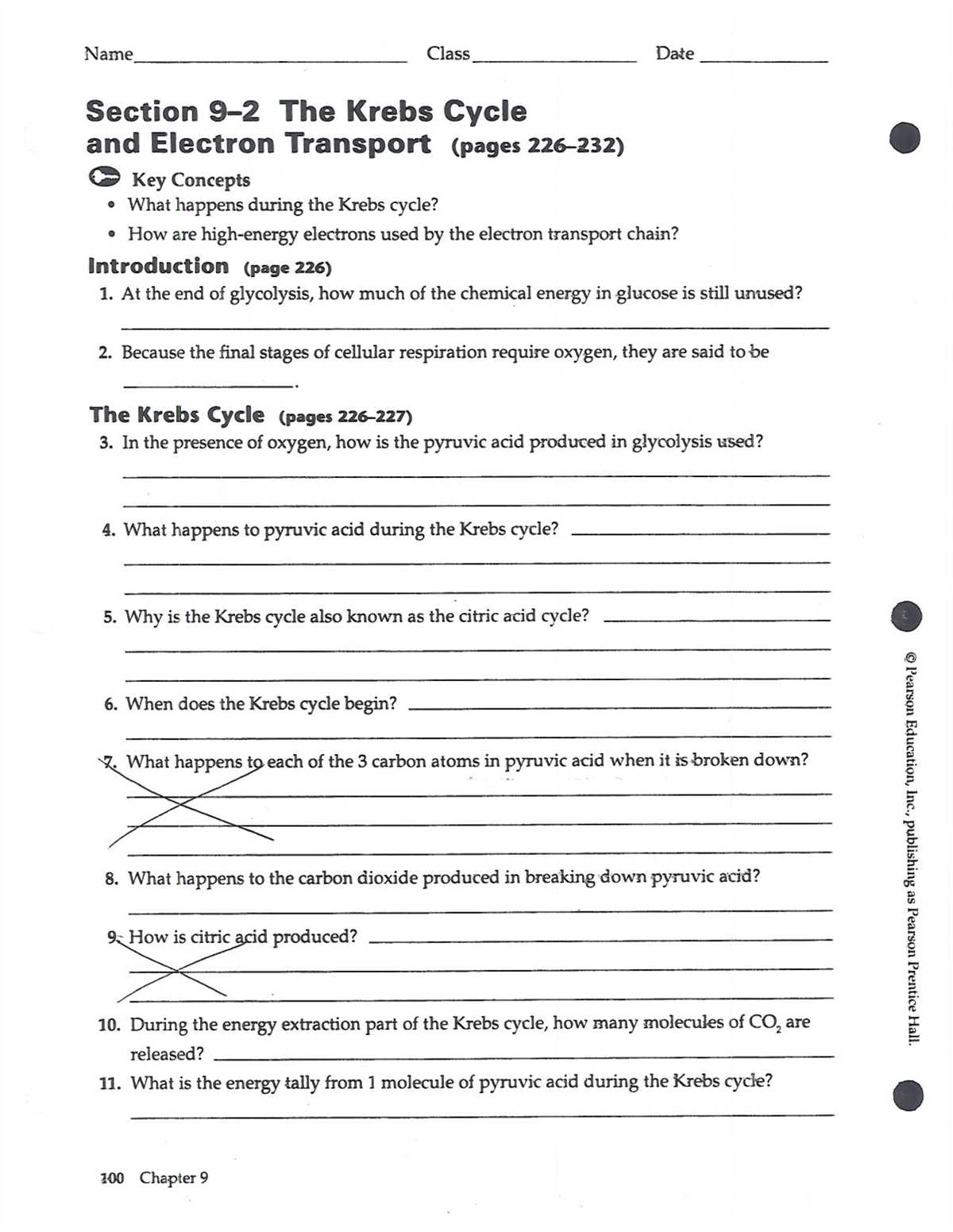 Understanding the Stem Case Answer Key