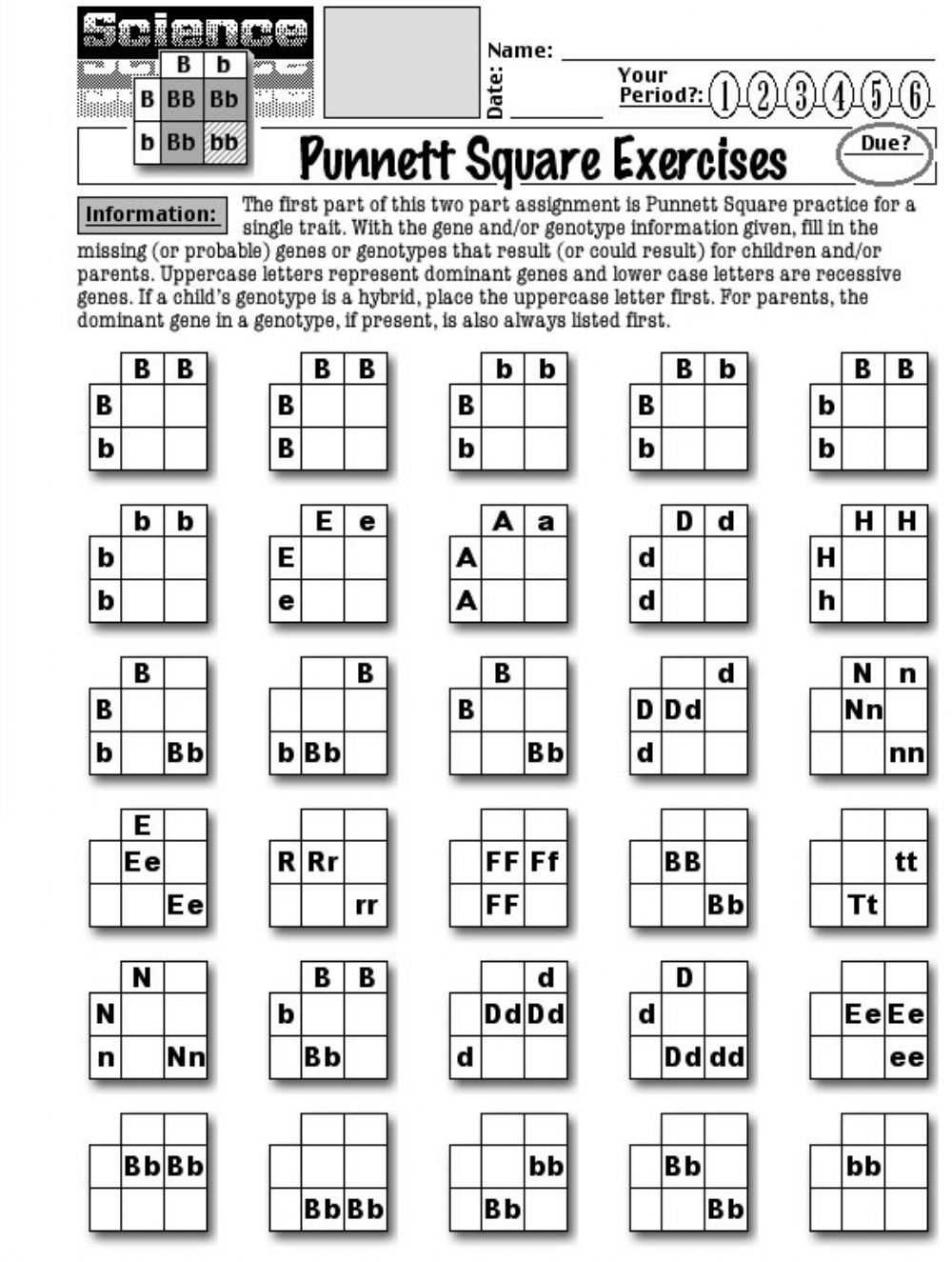 Punnett square vocabulary cut and paste answer key