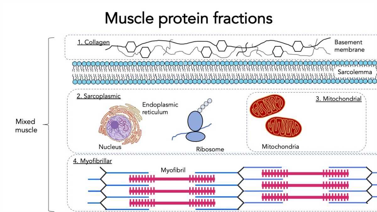 Transcription Factors: Key Players in Gene Expression