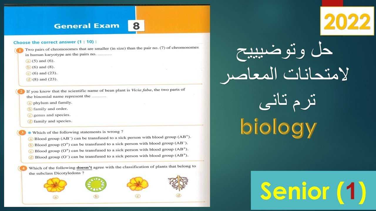 Effective Strategies for Test Preparation