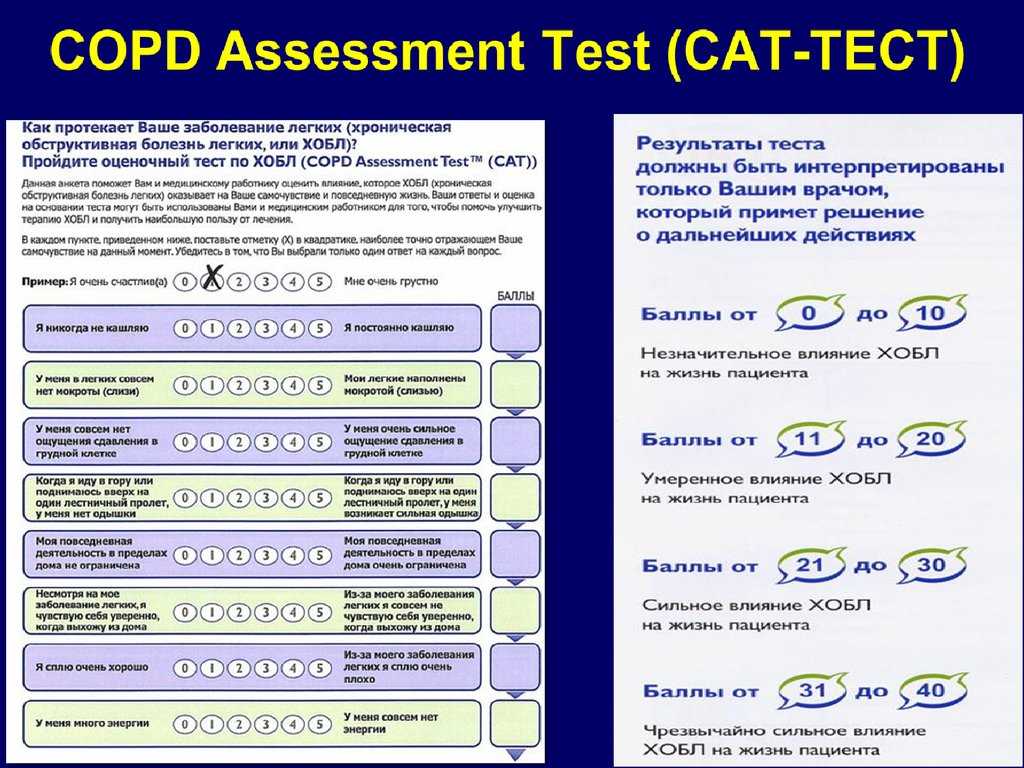 Develop a Study Plan