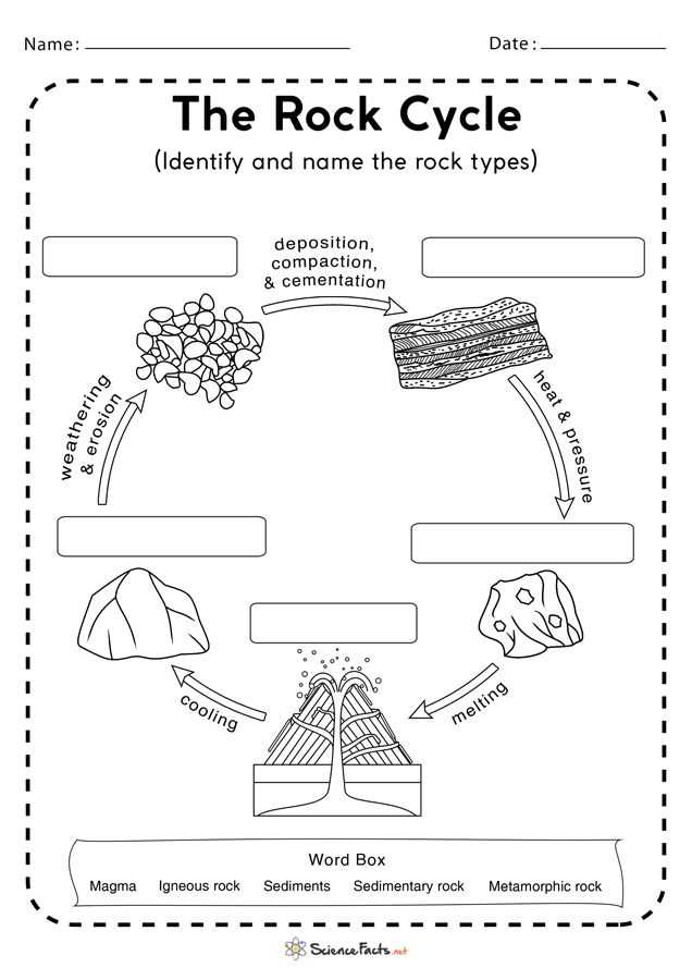 Key Characteristics of Sedimentary Rocks