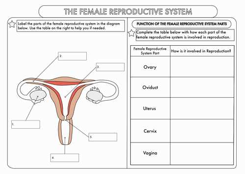 Brainpop Sexual Reproduction Quiz Answers: Master the Topic!