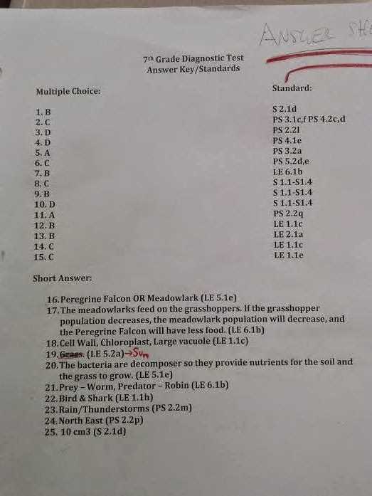 Understanding the Final Assessment Format