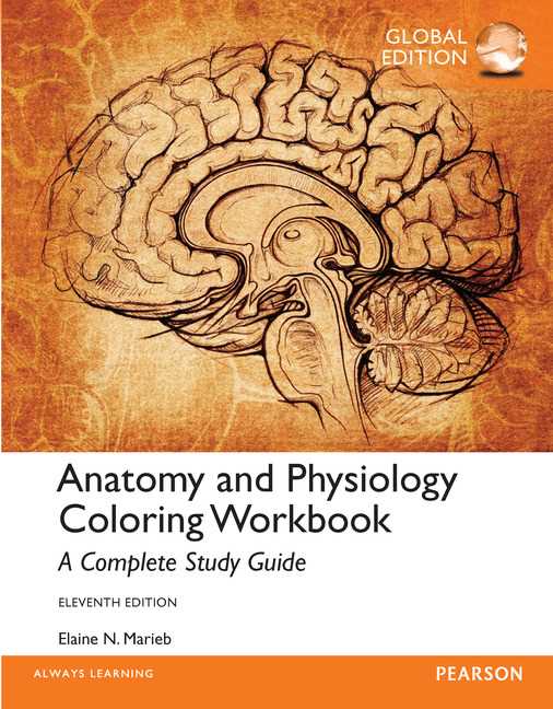 Anatomy and physiology coloring workbook answers chapter 9