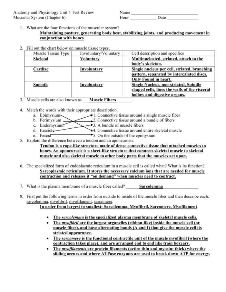 Exam Preparation Tips and Strategies