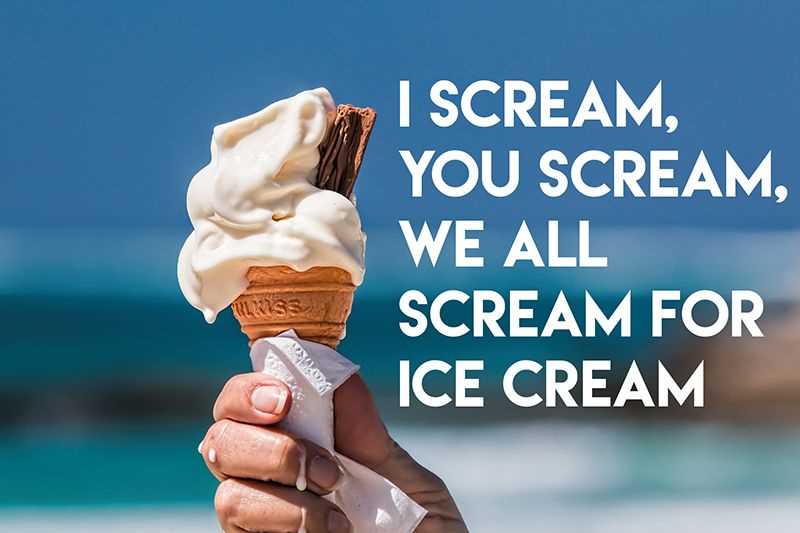 I scream for ice cream case study answer key