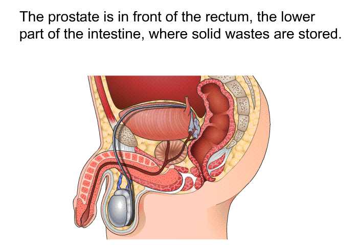 Prostate Exams: A Safe and Beneficial Practice