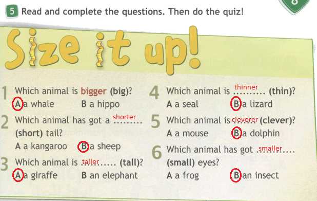 3. What is the format of the ASL 4.4 True Way Quiz?