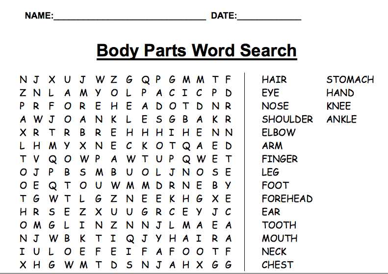 Exploring the answers to the Las partes del cuerpo word search