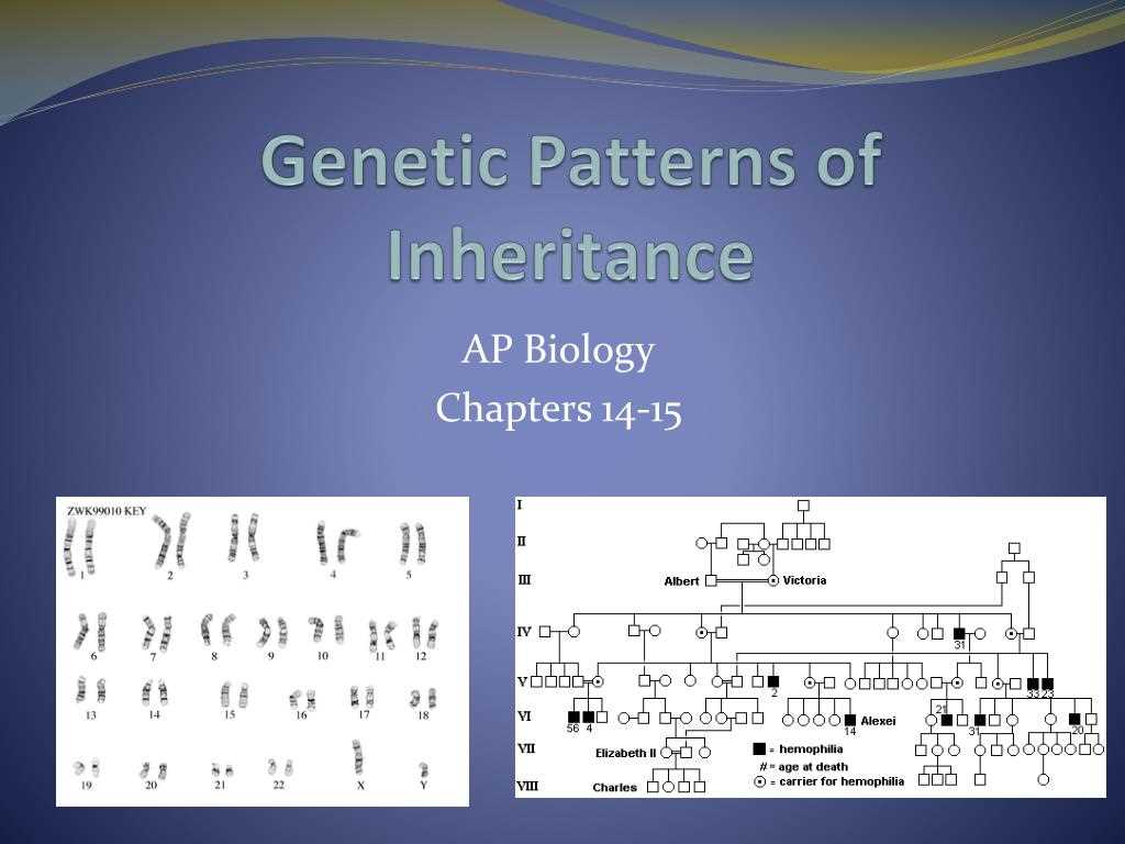 Tips for Solving AP Biology Genetics Practice Problems