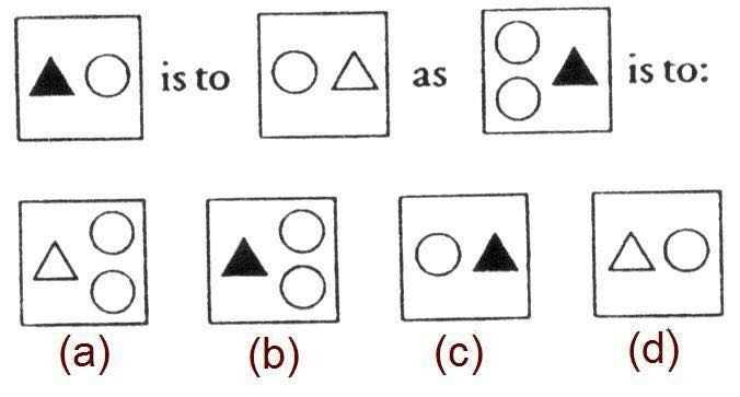 Mensa test answers