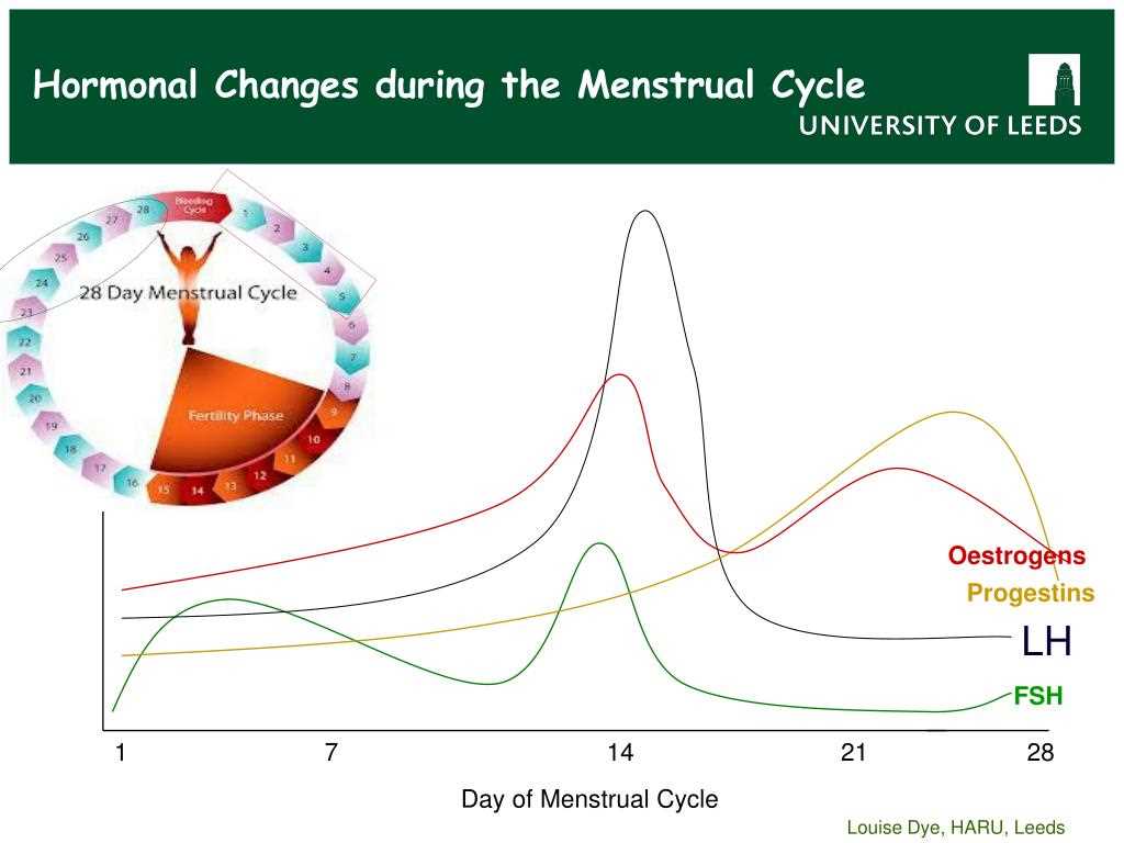 Menstrual cycle graphing lab 12 answer key