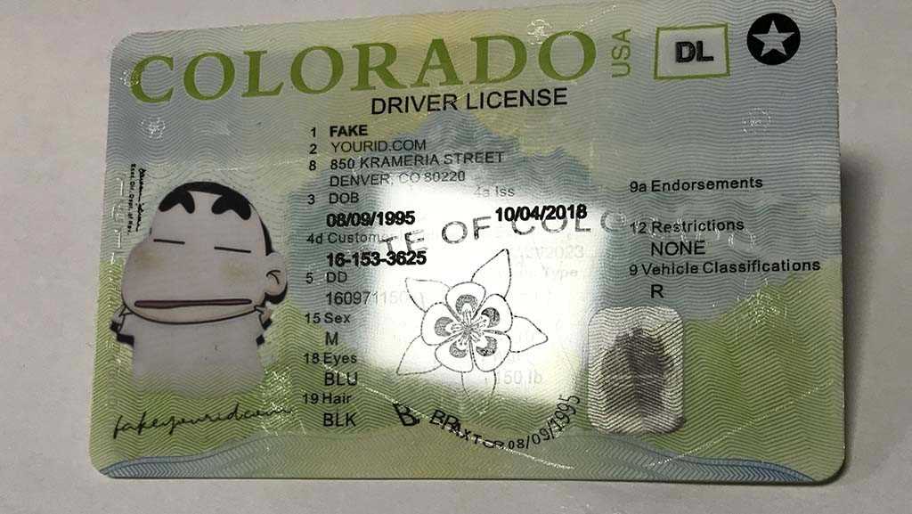 Colorado sales license test answers