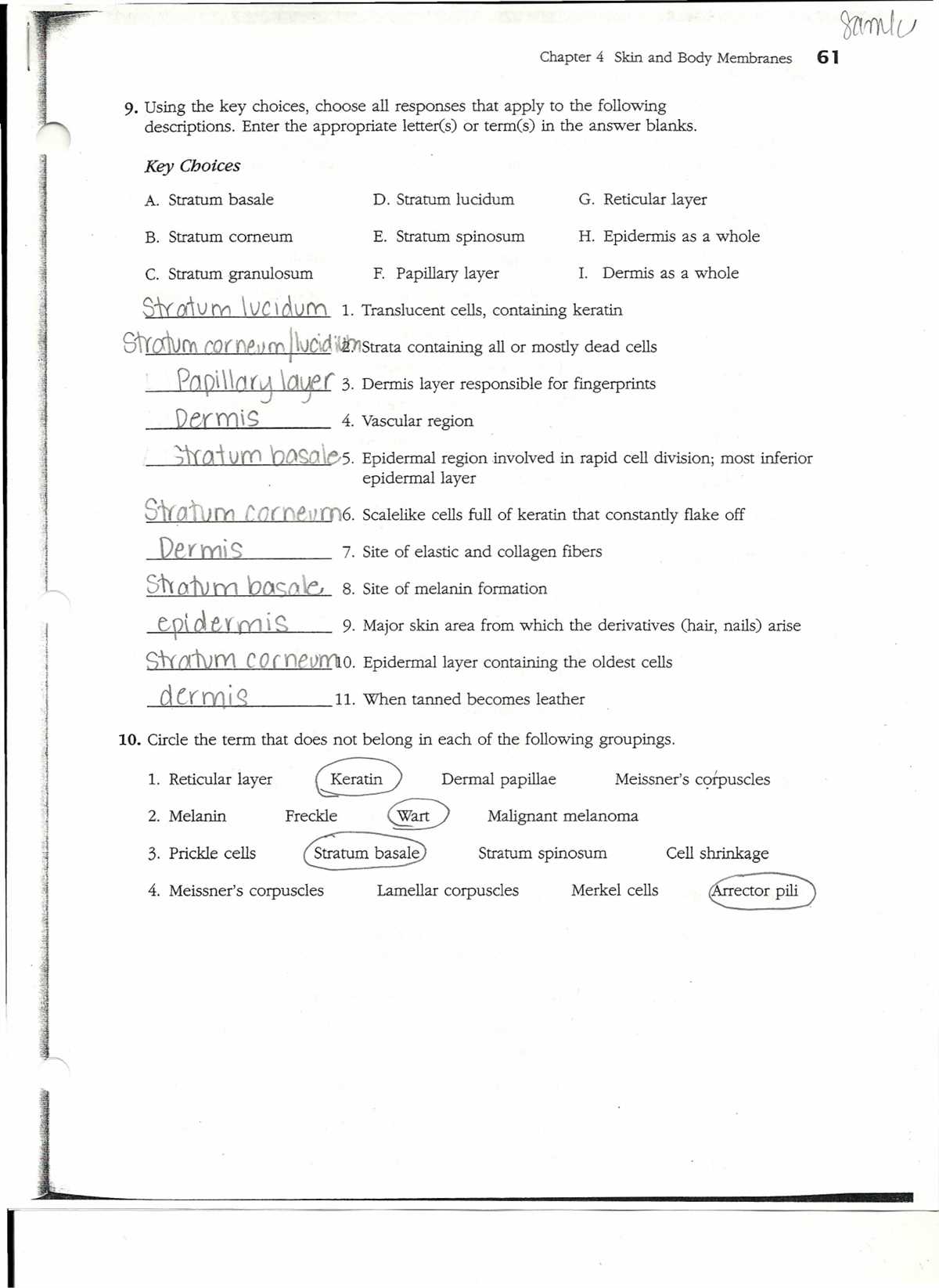 Milady Chapter 6 General Anatomy and Physiology Answer Key PDF