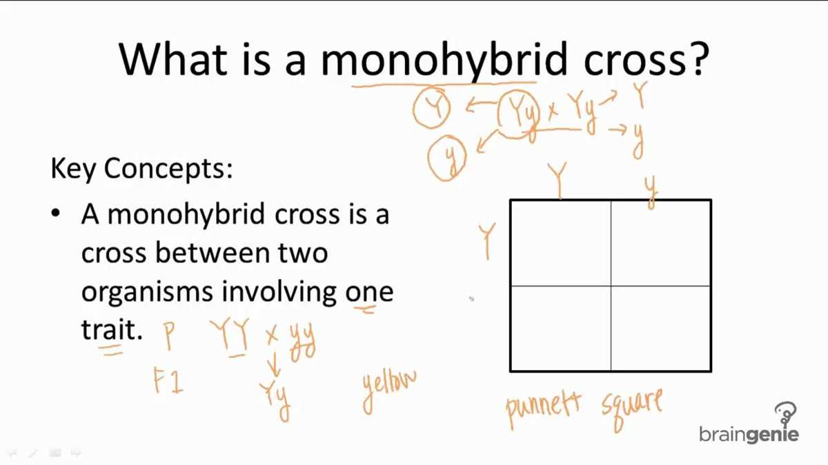 Monohybrid cross problems 3 answer key