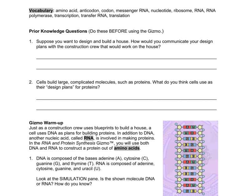 Mouse genetics one trait gizmo answer key pdf