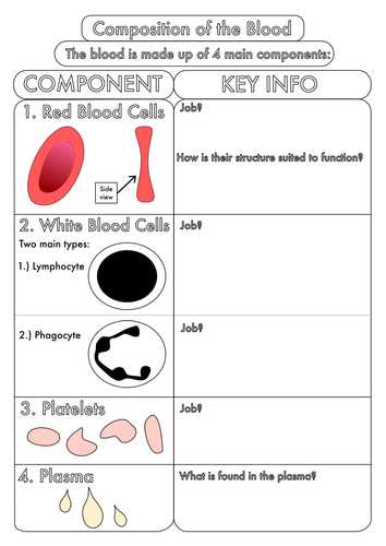 Components of blood worksheet answer key