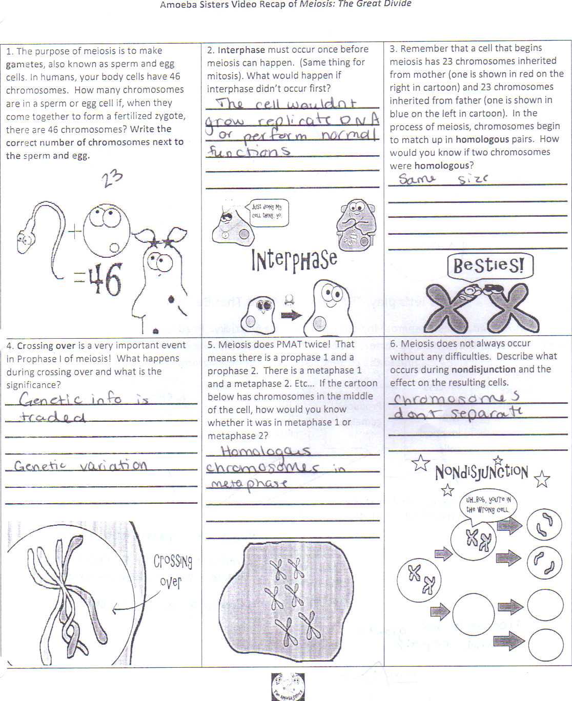 Types of Microscopes