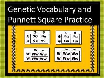 Punnett Square Vocabulary Cut and Paste Answer Key: Understanding the Basics