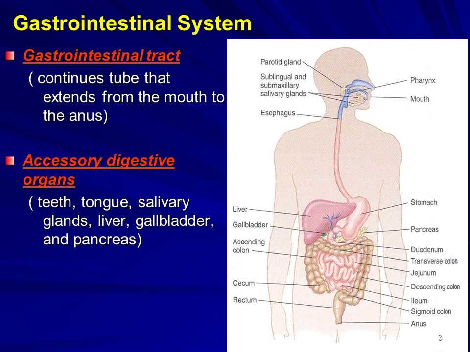 Biopsy