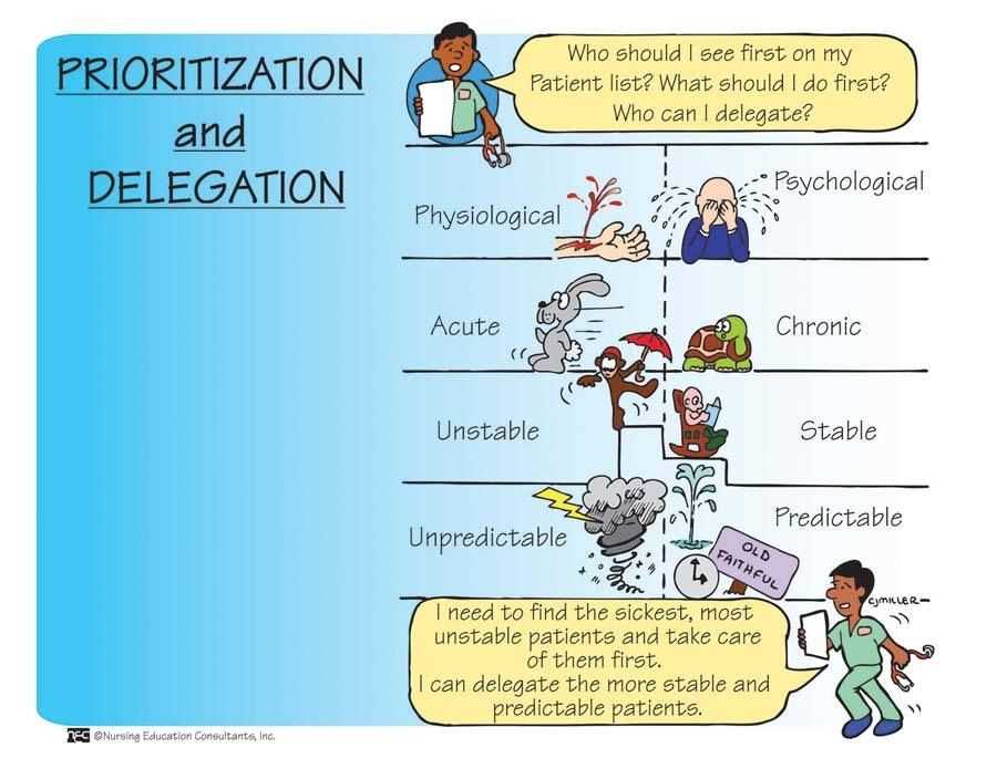 Nurse delegation test answers