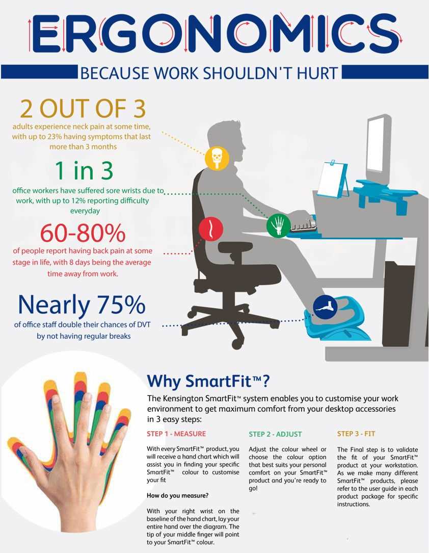 Section 4: Ergonomic Principles for Office Workers