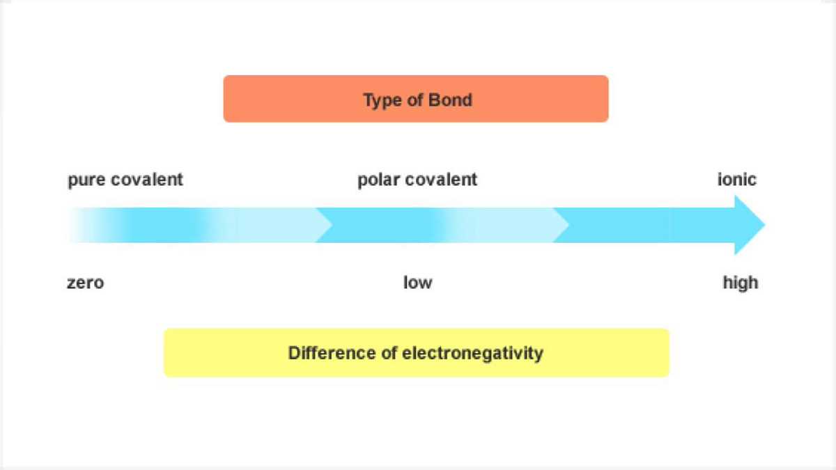 Mastering Chemical Bonding: The Ultimate Test Review Guide