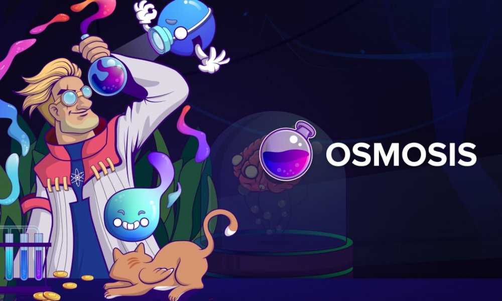 What is the Osmosis Stem Case Gizmo?