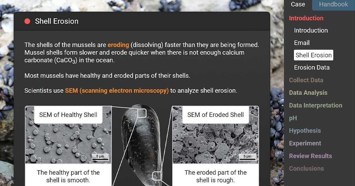 Frequently Asked Questions about the Osmosis Stem Case Gizmo