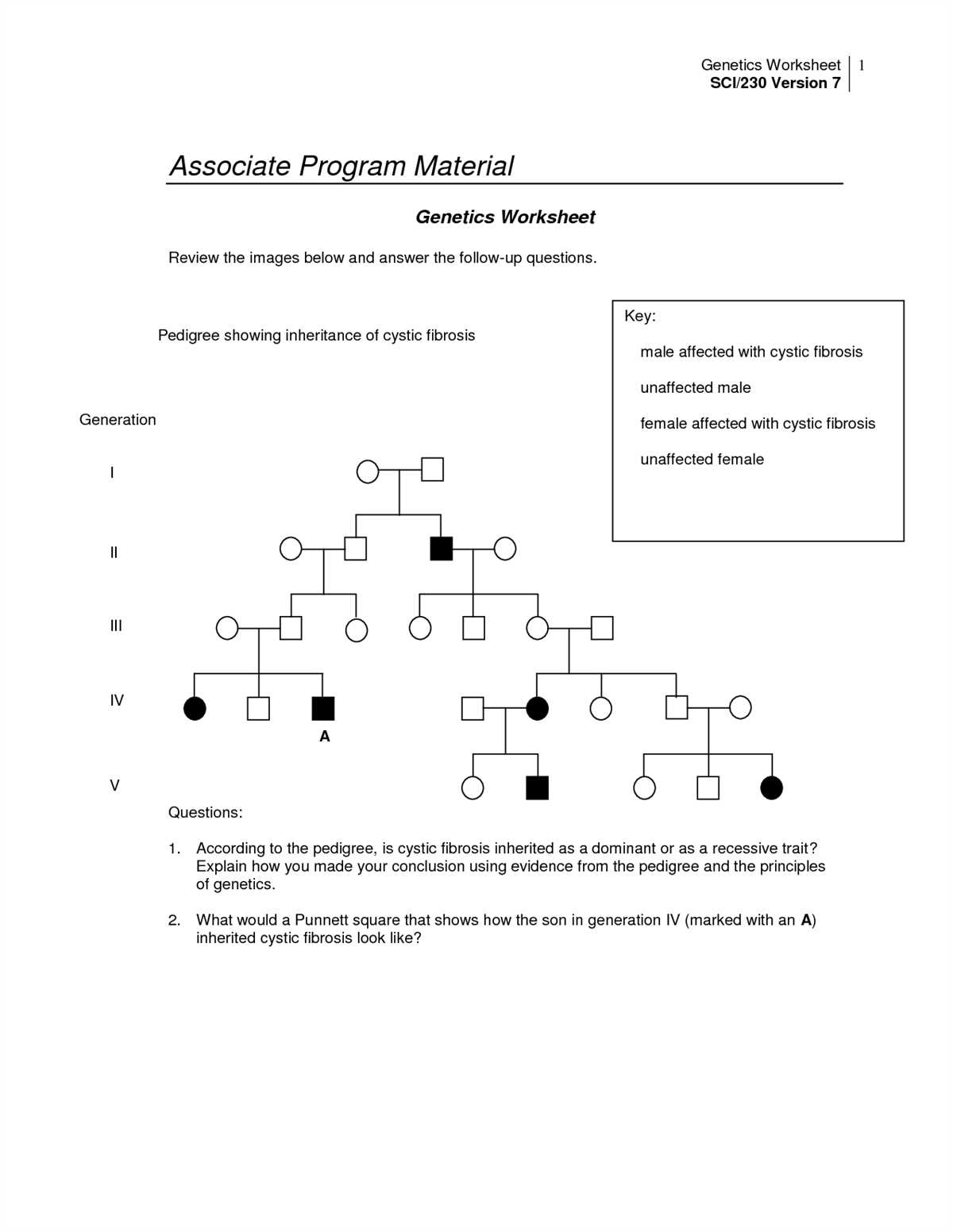 Human inheritance answer key