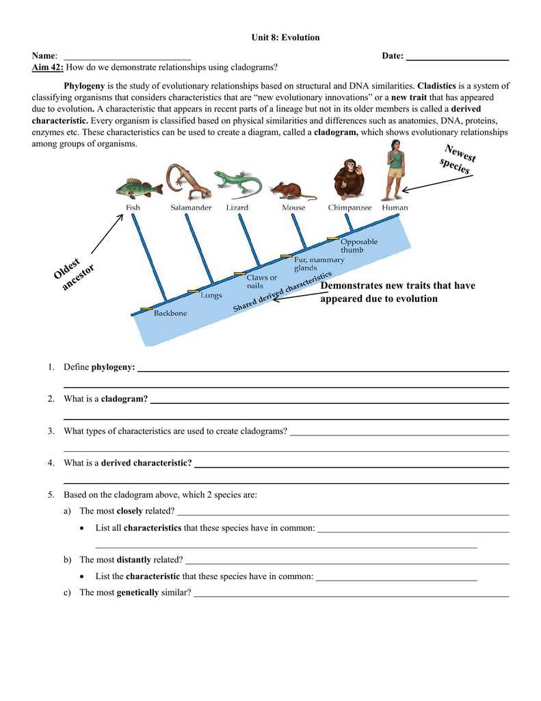 Phylogenetic trees pogil answer key