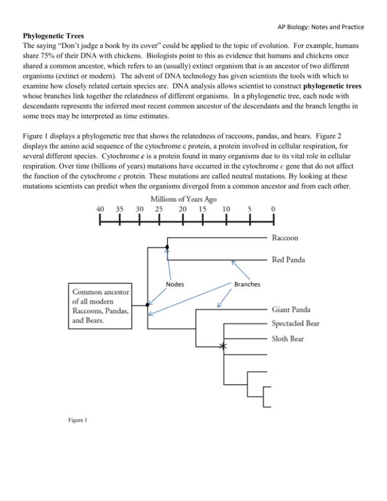 Key Components of Phylogenetic Trees