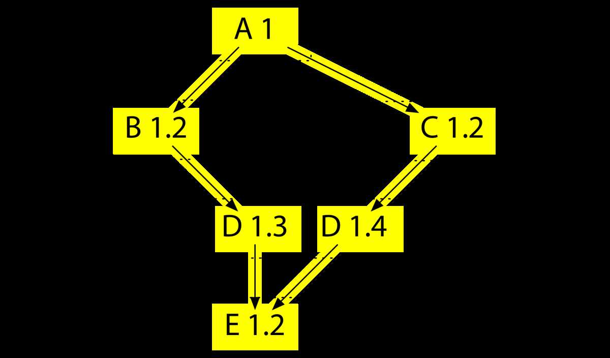 Step 4: Double Check and Assess